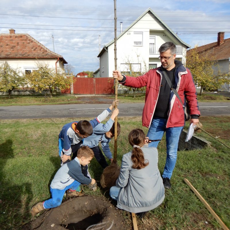 Közösségi faültetés Berettyóújfaluban 41